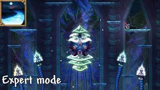 Expert mode Auroracle | Starlight River