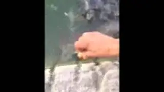 IMG 7711