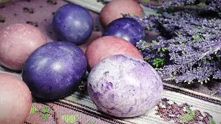 Как покрасить яйца с помощью каркаде