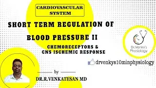 Short term Regulation of Blood Pressure II   Chemoreceptors & CNS Ischemic Response