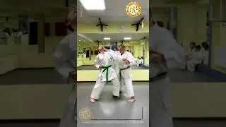 Дзю иппон кумите йой но камаэ Вариант 7