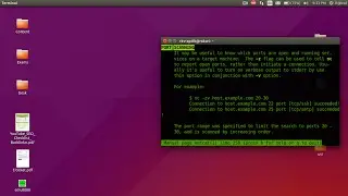 Netcat/nc  open ports scanning