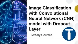 Image Classification with Convolutional Neural Network (CNN) model with Dropout Layer