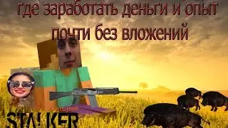 STALKER ONLINE ГДЕ ЗАРАБОТАТЬ ОПЫТ И ДЕНЬГИ