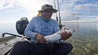 Bonefish Are Magic.  Right Before Your Eyes.