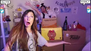 UNBOXING BIGASS BOXES  *:･ﾟ✧ HAPPY SISTER HOUR
