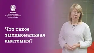 Body-Oriented Therapy and Emotional Anatomy. MAMR Professional Development Course | MAMR