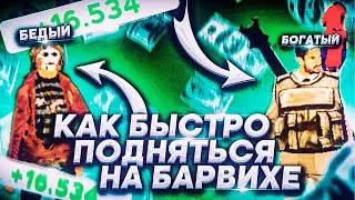 Как РАЗВИВАТЬСЯ НА БАРВИХЕ РП? Как зарабатывать миллионы в день? || ТОП 5 СПОСОБОВ ЗАРАБОТКА 🤑