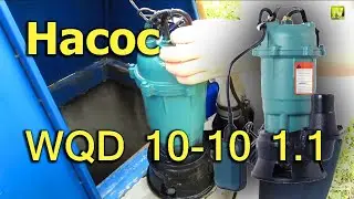 [Natalex] Pump 