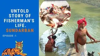 UNTOLD STORY OF FISHERMAN'S LIFE//SUNDARBAN//EXPLORE WORLDWIDE//मछली पकड़ना