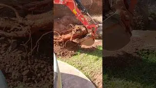 amazing JCB vs wood 🪵🪵🪵/#shorts
