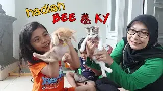 Hunting Aksesoris Kucing Buat Ngasih Hadiah BortleBee dan Fruky !!