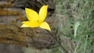 Сердцу милая Астрахань