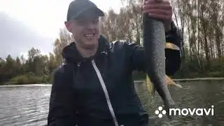 ЩУКИ.ЩУКА КЛЮЁТ Осенний жор щуки #coolfishing #клеваярыбалка #рыбалка #ВОБЛЕР