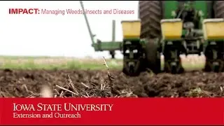 IMPACT: Managing Weeds, Insects and Diseases
