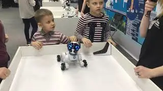 Робополис 2018