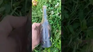 12 августа 2024 г.