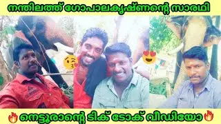 നെട്ടൂരാൻ്റെ ടിക് ടോക് വീഡിയോ | #viraltiktokvideos #nandilathgopalakrishnan #thirumeni | #mambi