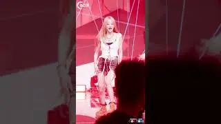 표정 잘 쓰는 명창강아띠 