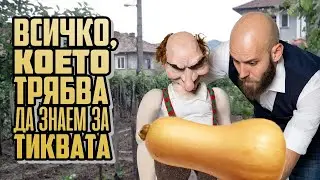 За тиквите и хората