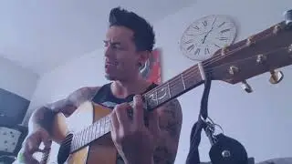 The Cranberries - Zombie  (acoustic cover)