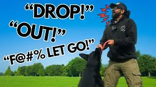 Train Your Dog To Drop A Toy Like A PRO!