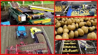 Potato Harvesting Machine & Potato Cleaning + Packing Line|Potato Processing Line Modern Agriculture