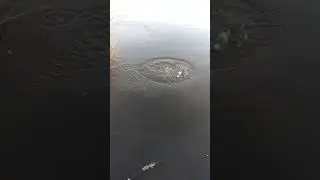 Замедленное видео / видео в замедлении / замедленная съёмка / 