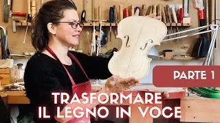 La liutaia Yael Rosenblum @rosenblumviolinstorino1163 | Parte 1: Come nasce un violino?