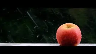 Видео для крепкого сна! #live #relaxing
