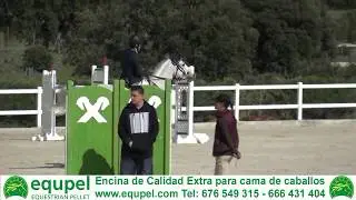 Gran Premio Concurso Hípico de Salto de Obstáculos Nacional** RSHECC 8.04.18