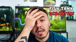 All my Fish Tanks are a MESS?!