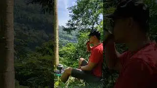 seduh wedang uwuh di bawah pohon teduh