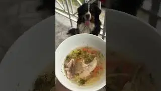 😀 как думаете ему понравиться?