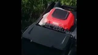 🌱 Mantieni il tuo giardino sempre in splendida forma!