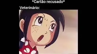 o que acontece se o cartão recusar no veterinário