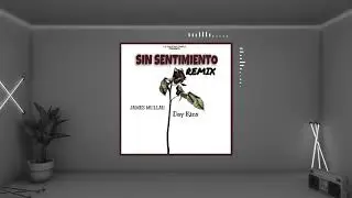 James Mullah x Day Kins - Sin Sentimiento Remix