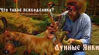 Что такое психоделика?/ Возвращение Кокоса на 