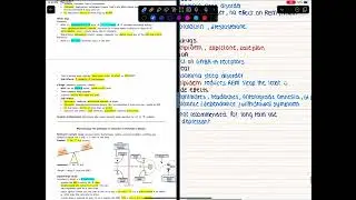 Taking med school notes part 2 | Apollo