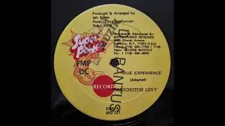 Barrington Levy - Too Experienced (True Experience) 12"