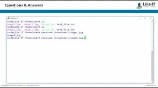 bash how to basename