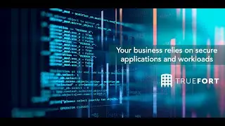 Introduction to TrueFort