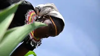 Naserian Leakono’s Agricultural Revolution in Samburu