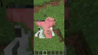 Minecraft 3 Fakten 