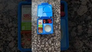 Let’s Pack A Cold Snack For The Zoo That Will Stay Cold ALL DAY! #shorts