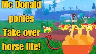 MC DONALD PONIES TAKE OVER HORSE LIFE!!!