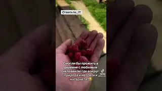 23 июля 2024 г.