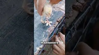 Small steps, big help