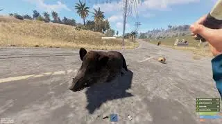 when game crash at the exact moment 
