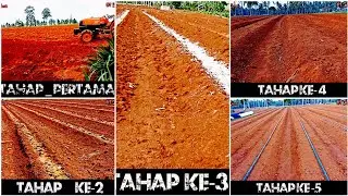 Proses Awal Pembuatan Lahan Tanaman Cabai Dan sayuran